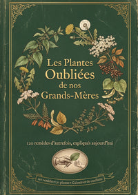 Les Plantes Oubliées de nos Grands-Mères