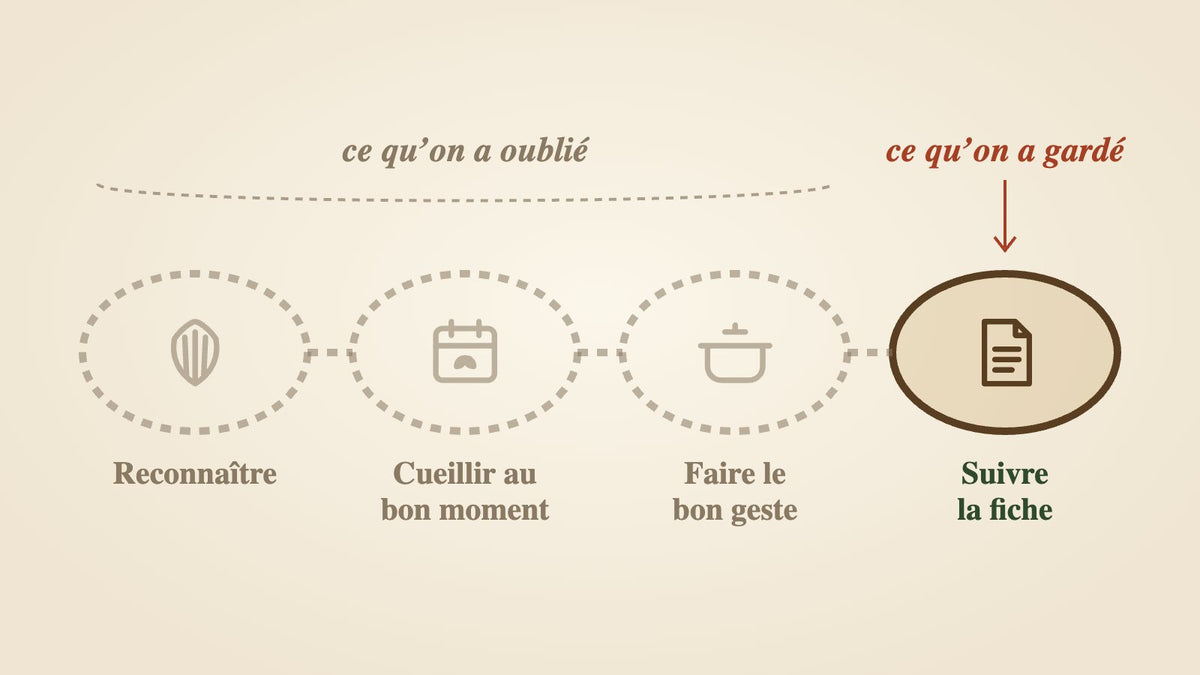 Schéma de la chaîne : Reconnaître → Cueillir au bon moment → Faire le bon geste → Suivre la fiche. Les trois premiers maillons en pointillés « oubliés »