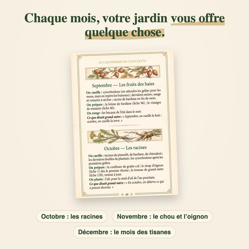 La page 88 du calendrier de cueillette : septembre et octobre