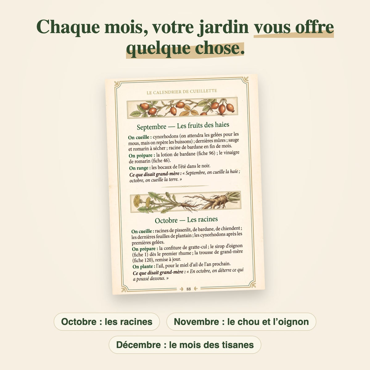 La page 88 du calendrier de cueillette : septembre et octobre