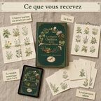 Le contenu de la commande : le livre, les 5 bonus à imprimer et la version numérique sur tablette